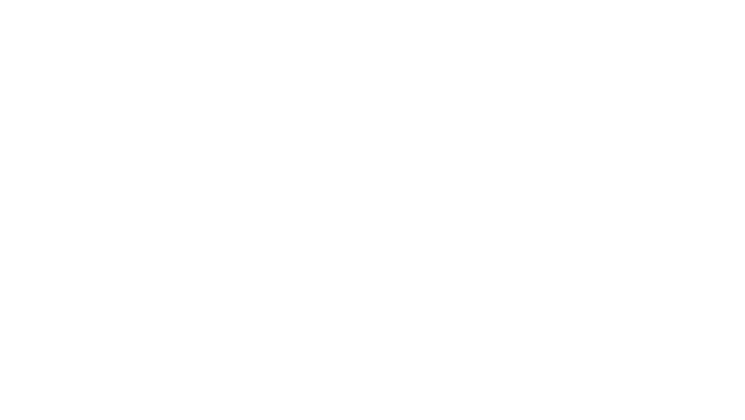 Strajilevich Studio